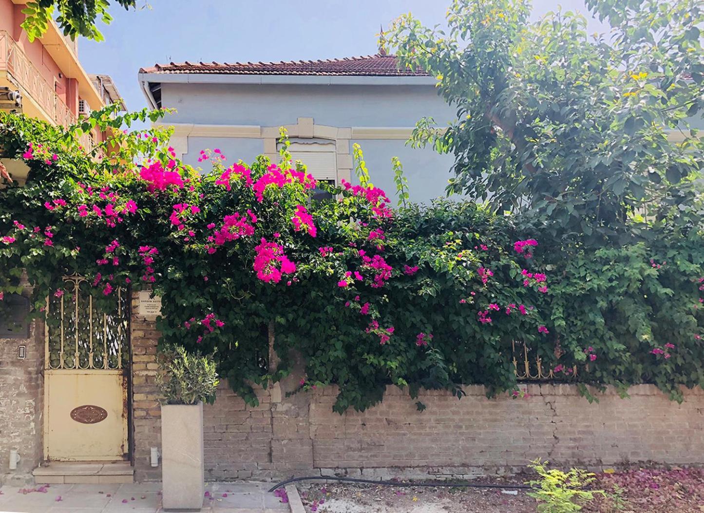 Garden Suites Corfu  Экстерьер фото